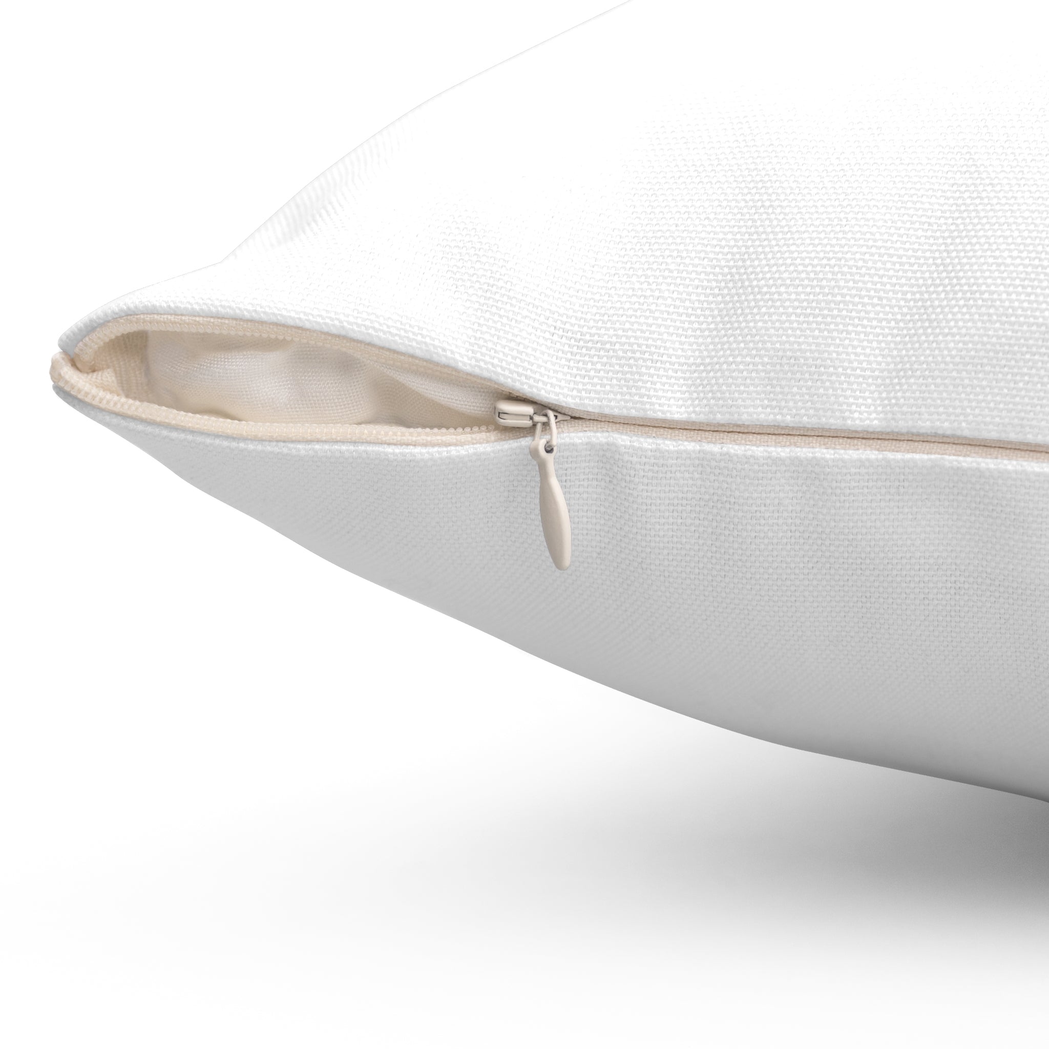 Come Play (Inviting Playful Pillow,)